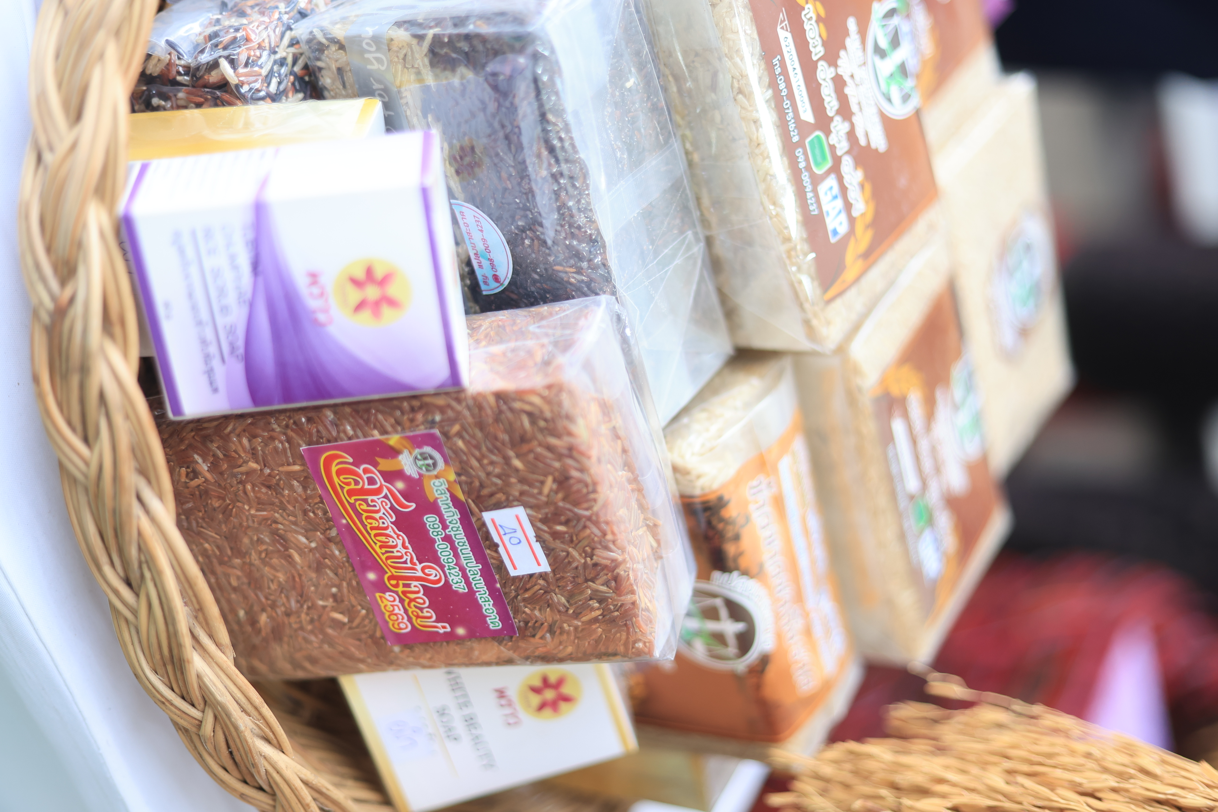 title - ส.ป.ก. ร่วมเป็นเกียรติในงานวันคล้ายวันสถาปนา กรมการข้าว เนื่องในโอกาสครบรอบ 20 ปี